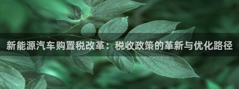 众腾娱乐客服:新能源汽车购置税改革:税收政策的革新与优化路径