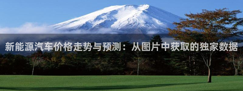 众腾娱乐平台下载:新能源汽车价格走势与预测:从图片中获取的独