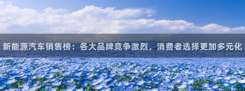 彝族自治州众腾娱乐:新能源汽车销售榜:各大品牌竞争激烈,消费