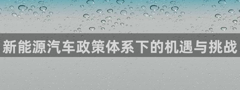 楚雄众腾娱乐是干什么的:新能源汽车政策体系下的机遇与挑战